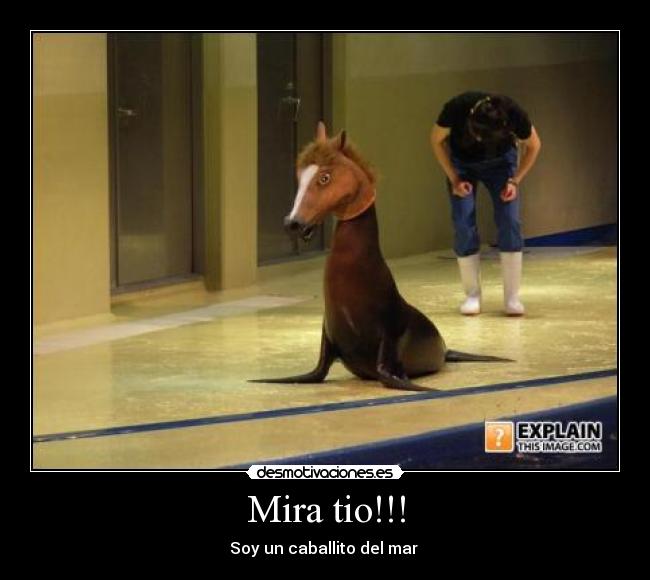 Mira tio!!! -