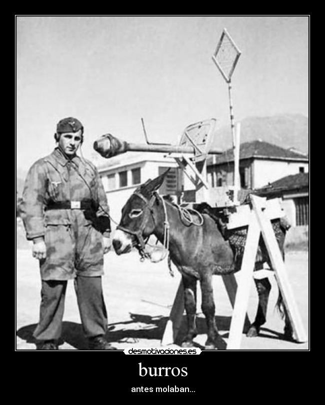 burros - antes molaban...