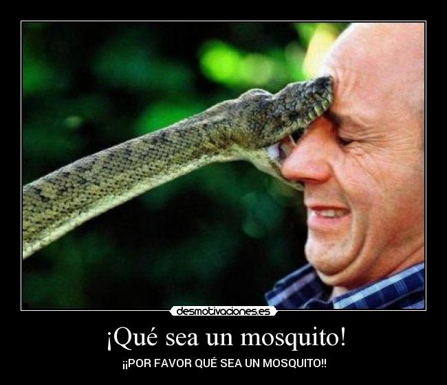 ¡Qué sea un mosquito! - 