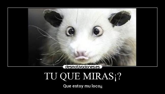 TU QUE MIRAS¡? -