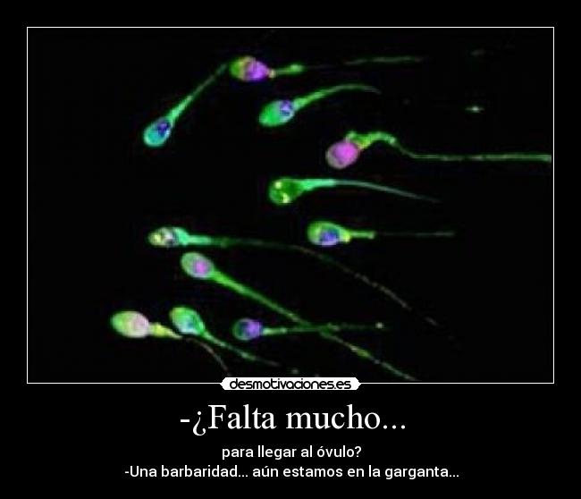-¿Falta mucho... -