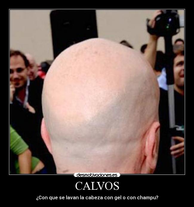 carteles calvo desmotivaciones