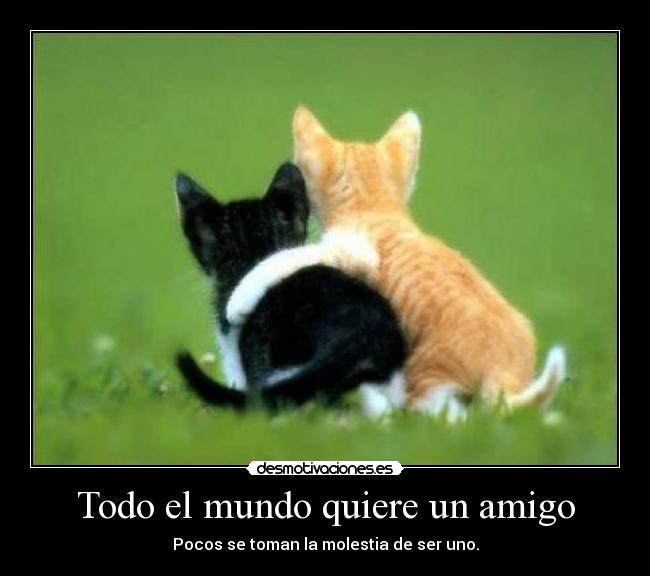 Todo el mundo quiere un amigo - Pocos se toman la molestia de ser uno.