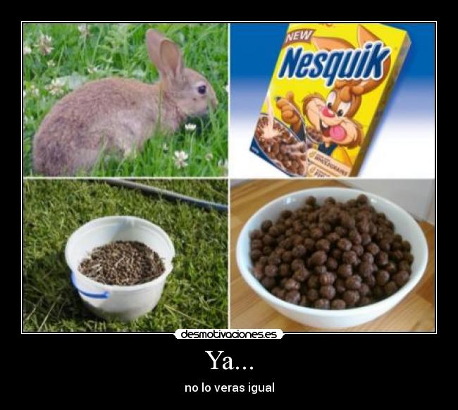 carteles conejo desmotivaciones