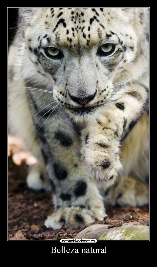 Belleza natural -
