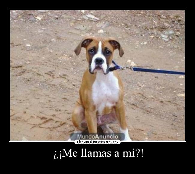 ¿¡Me llamas a mi?! -