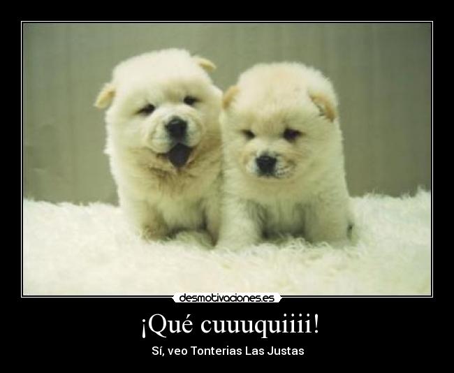 ¡Qué cuuuquiiii! - 