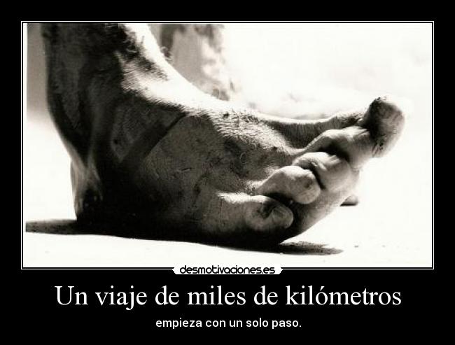 Un viaje de miles de kilómetros - 
