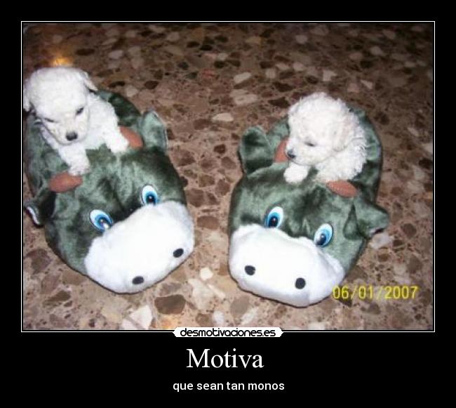 carteles motiva desmotivaciones