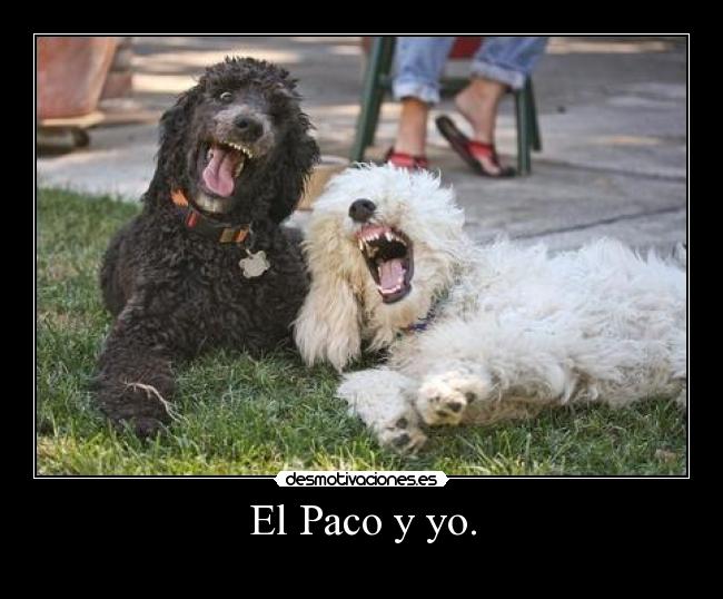 El Paco y yo. - 