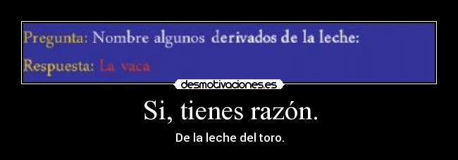 Si, tienes razón. - 