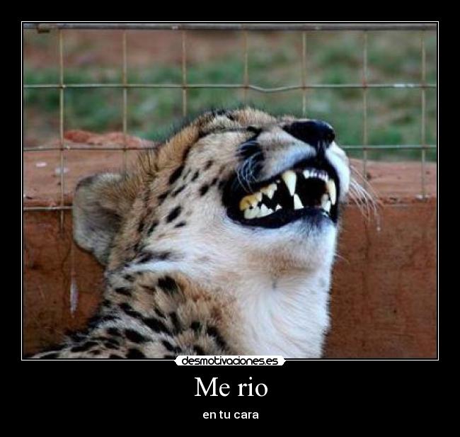 Me rio - en tu cara