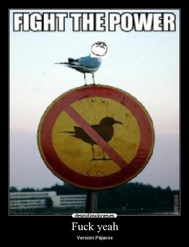 Fuck yeah - Versión Pájaros