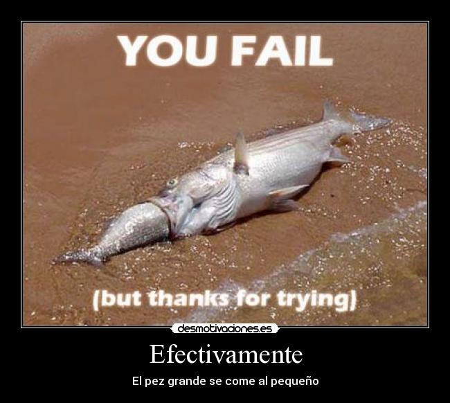 Efectivamente -