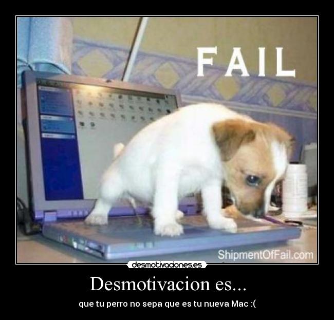 Desmotivacion es... - que tu perro no sepa que es tu nueva Mac :(