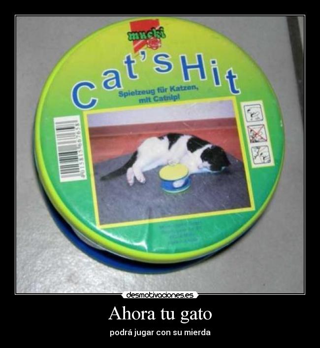 Ahora tu gato - 