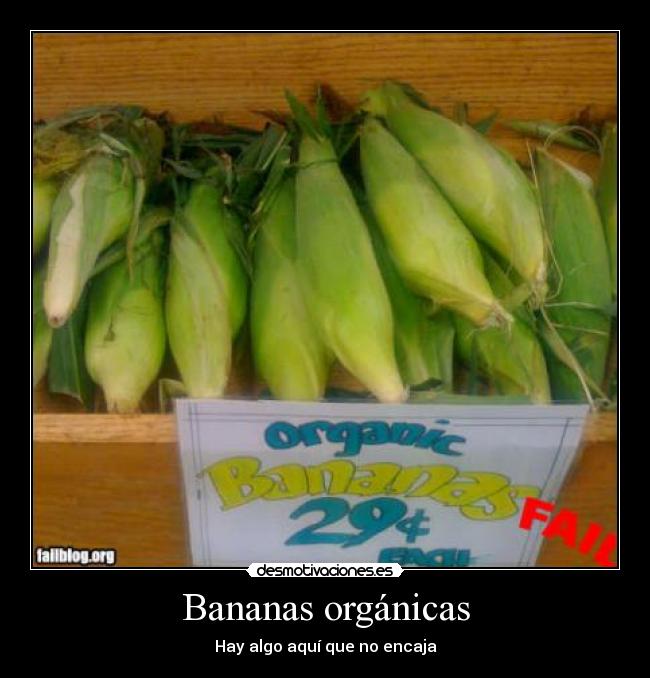 Bananas orgánicas - 