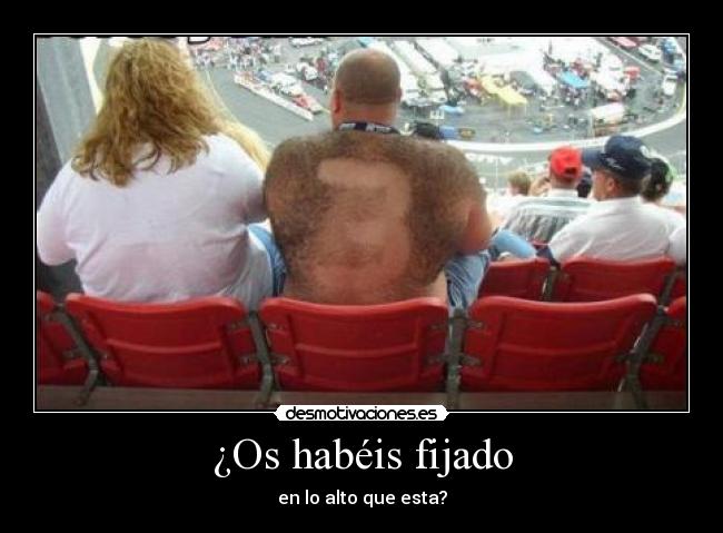 ¿Os habéis fijado - 