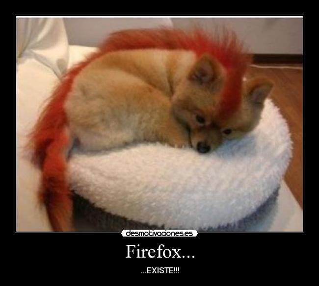 Firefox... - ...EXISTE!!!