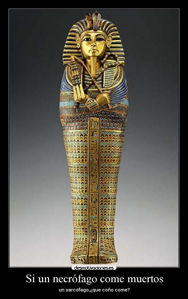 Si un necrófago come muertos -