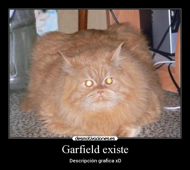 Garfield existe -