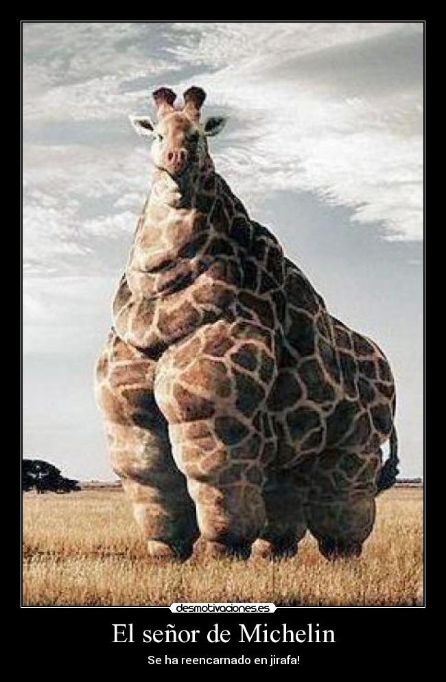 El señor de Michelin -