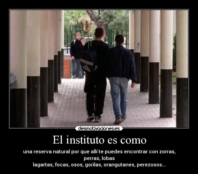 El instituto es como - una reserva natural por que allí te puedes encontrar con zorras, perras, lobas
lagartas, focas, osos, gorilas, orangutanes, perezosos...
