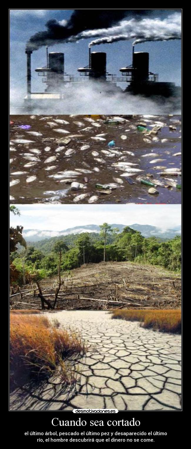 Cuando sea cortado -