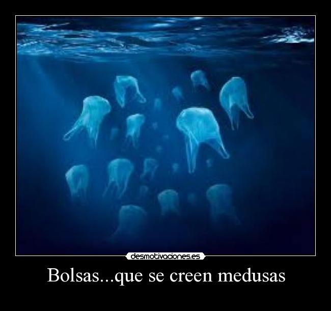 Bolsas...que se creen medusas -