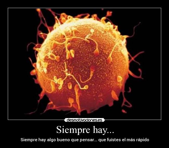 Siempre hay... - 
