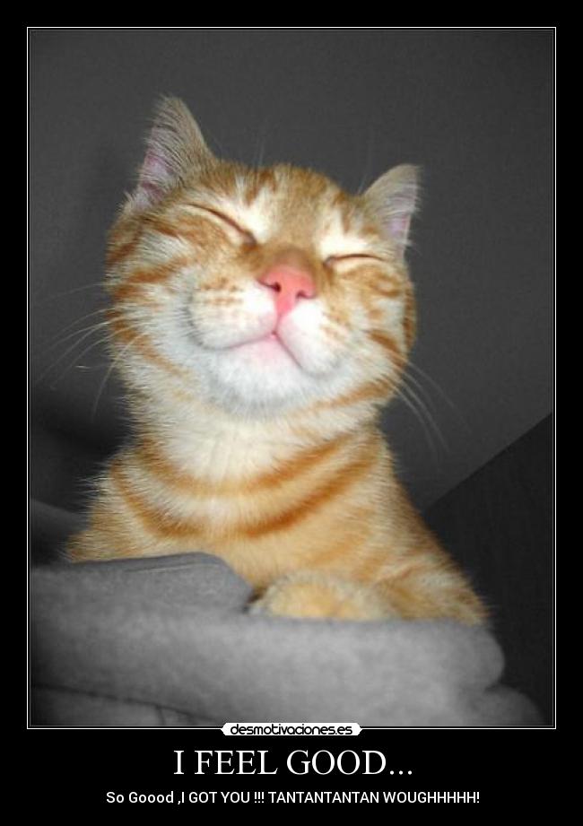 I FEEL GOOD... - So Goood ,I GOT YOU !!! TANTANTANTAN WOUGHHHHH!