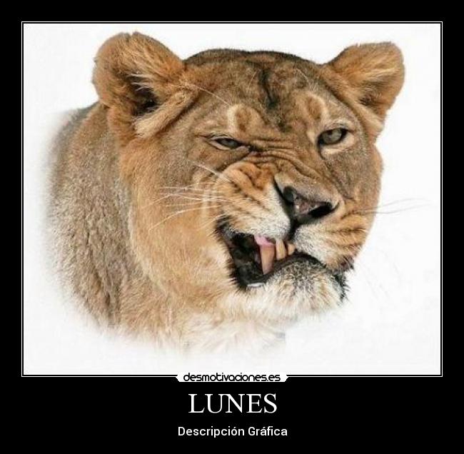 LUNES - Descripción Gráfica