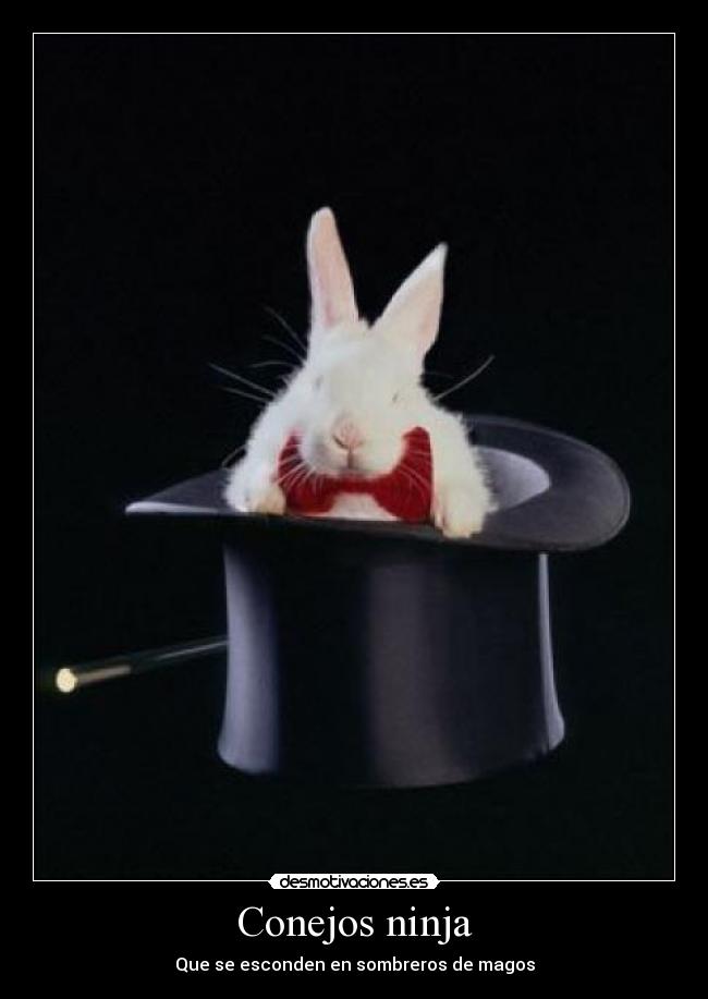 carteles ninja conejo mago magia desmotivaciones
