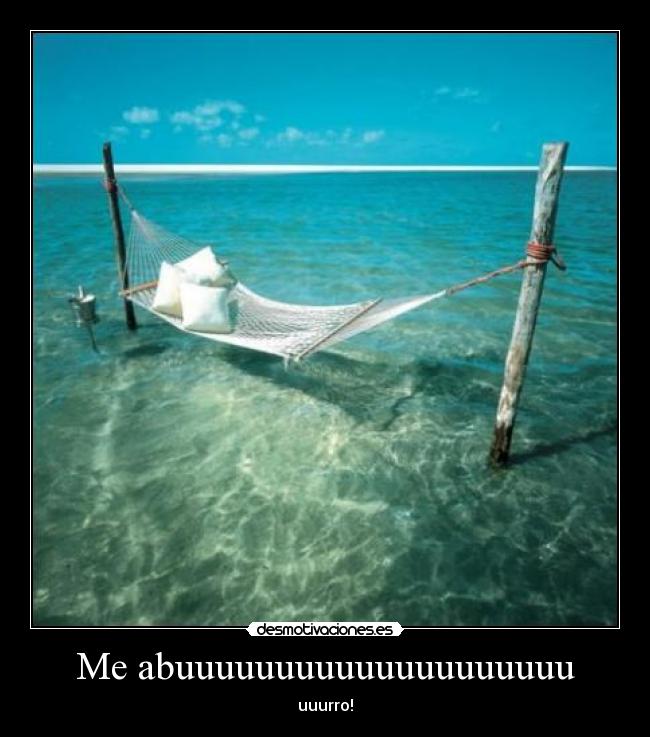 Me abuuuuuuuuuuuuuuuuuuuu -