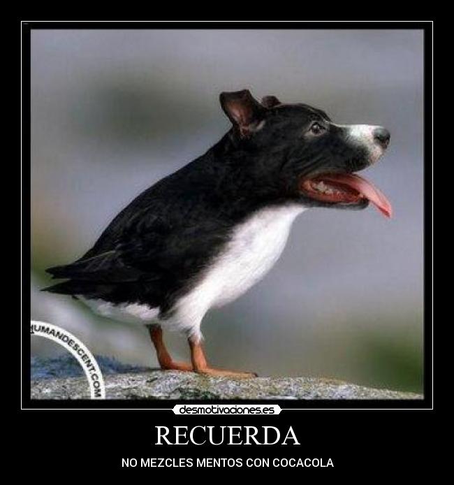RECUERDA -