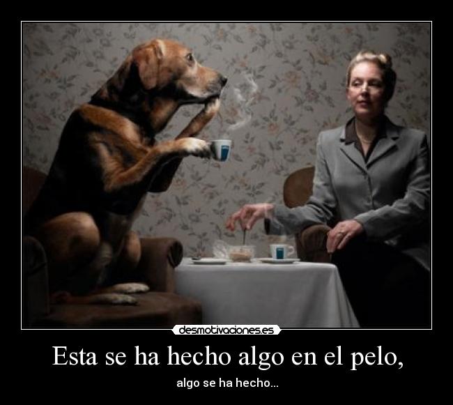 Esta se ha hecho algo en el pelo, -