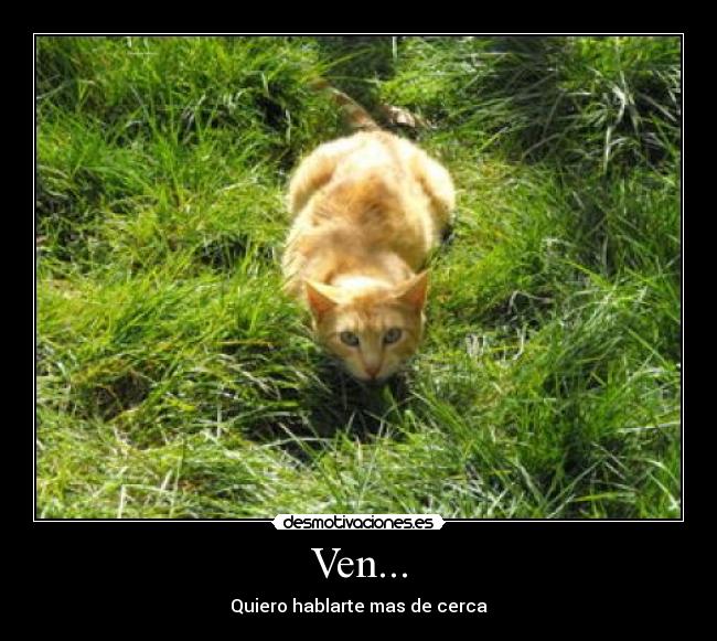 Ven... - Quiero hablarte mas de cerca