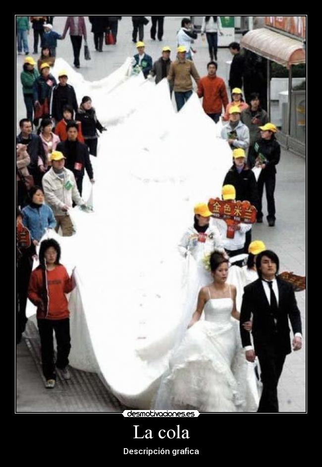 La cola - 