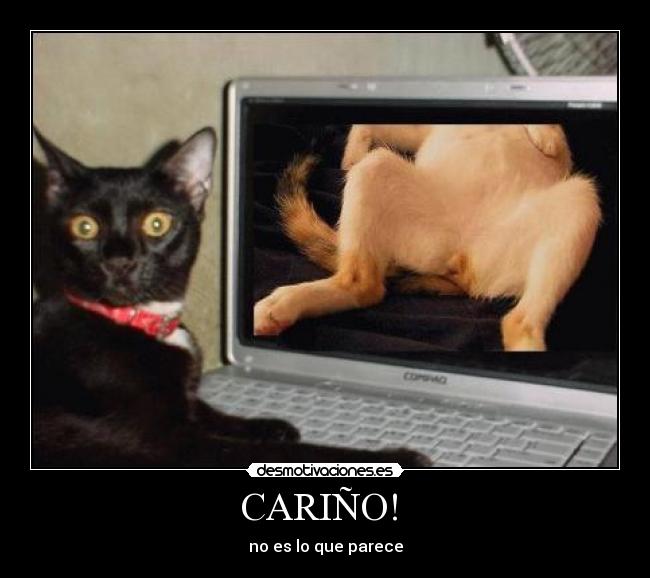 CARIÑO!  - 