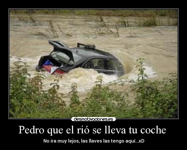 Pedro que el rió se lleva tu coche  - 