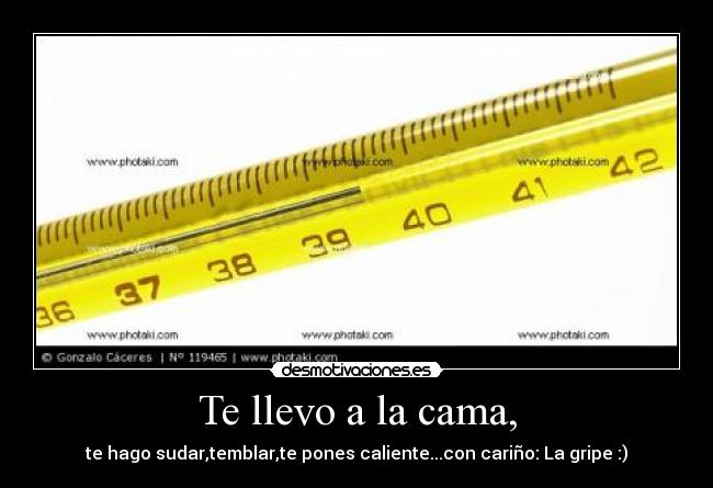 Te llevo a la cama, - te hago sudar,temblar,te pones caliente...con cariño: La gripe :)