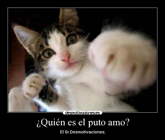 ¿Quién es el puto amo? - El Sr.Desmotivaciones.