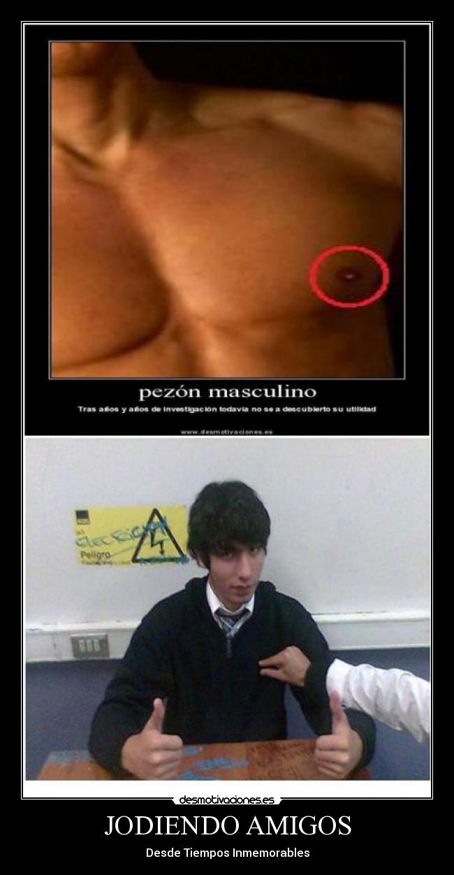 JODIENDO AMIGOS - 