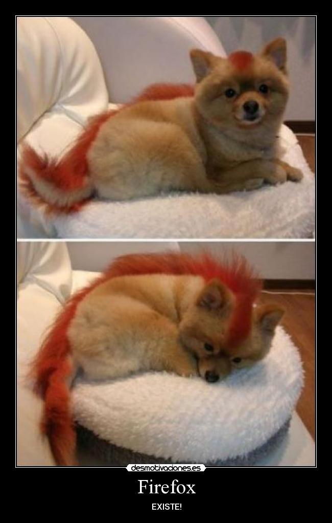 Firefox -