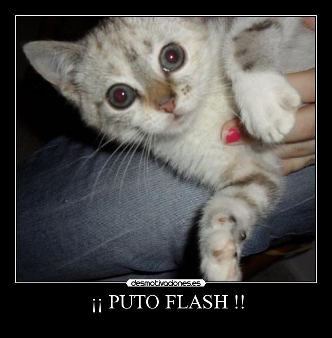 ¡¡ PUTO FLASH !! -