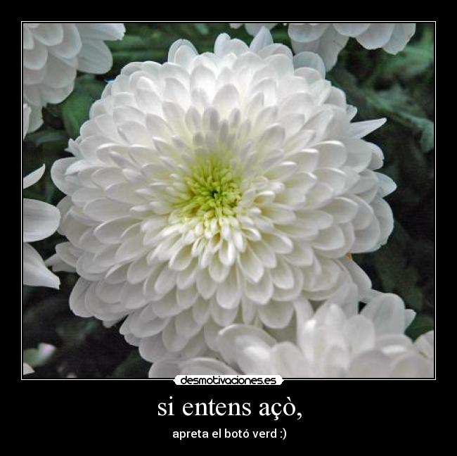 si entens açò, - apreta el botó verd :)