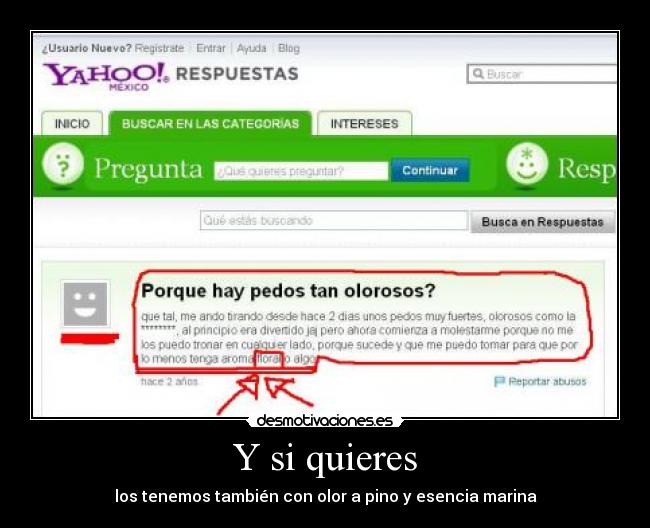 Y si quieres - los tenemos también con olor a pino y esencia marina