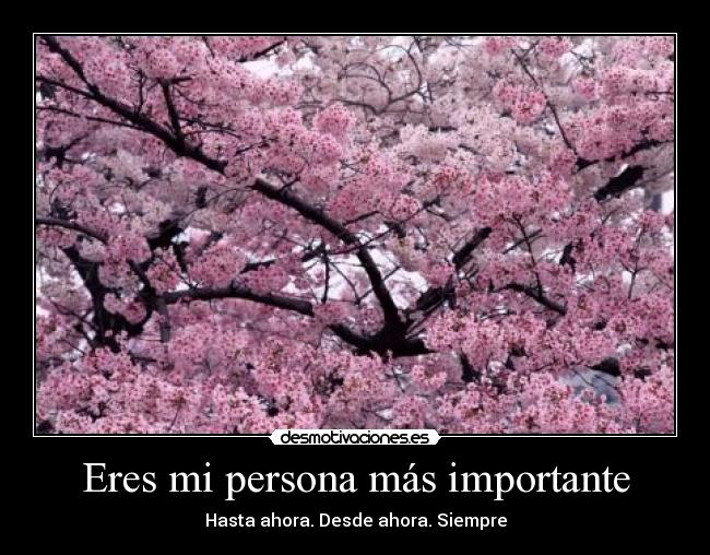 Eres mi persona más importante -