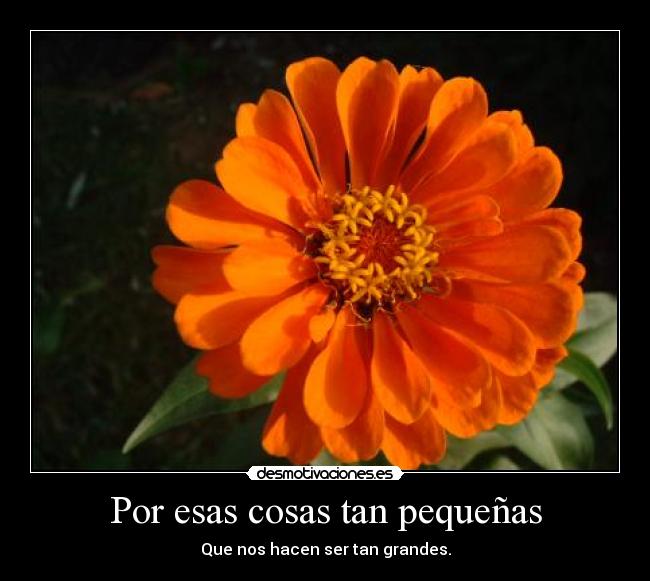 Por esas cosas tan pequeñas -