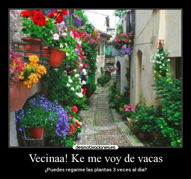 Vecinaa! Ke me voy de vacas -